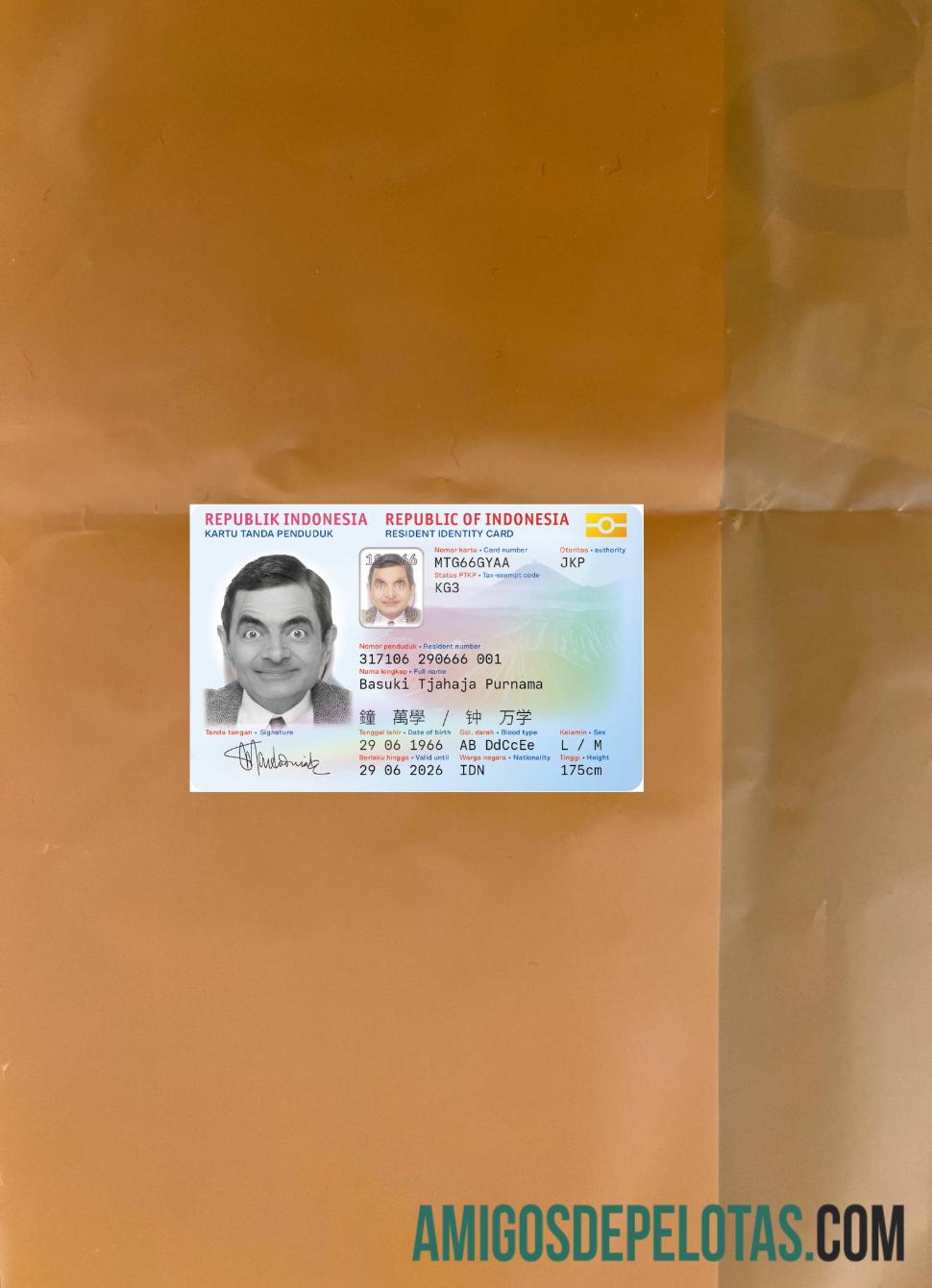Indonesia ID Card New Version olhar de foto frente amostra